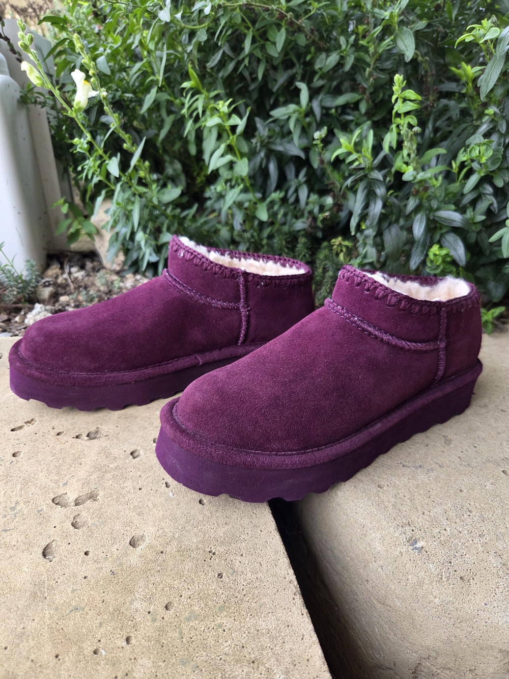 Bearpaw Lana Suede Ankle Bootie  Color:Eggplant Size:8  (NWOT)